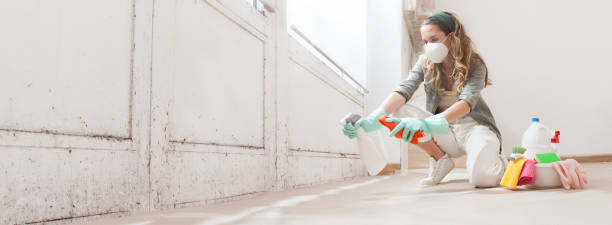 Mold Documentation for Insurance Claims in Grand Forks, ND